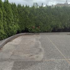 Driveway Washing Issaquah 7