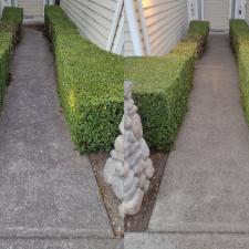 Pressure Washing Issaquah 1