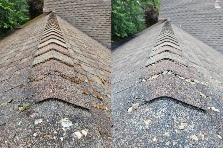 Roof cleaning sammamish
