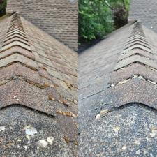 Roof Cleaning in Sammamish, WA
