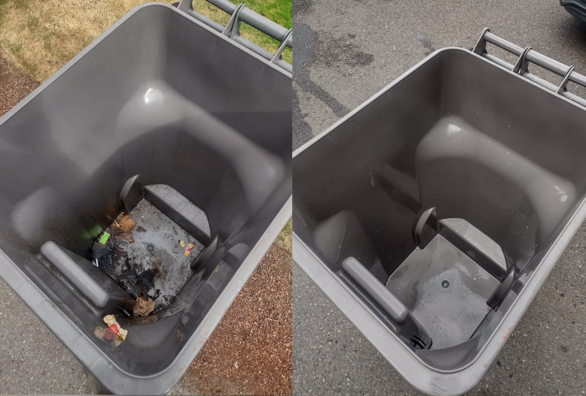 Trash bin cleaning