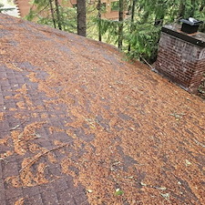How Often Should You Schedule Roof Cleaning?