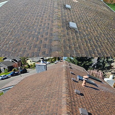 Why Roof Cleaning Helps Protect Your Home From Long-Term Damage