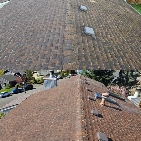 Why roof cleaning helps protect your home from long term damage