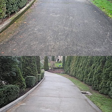 Driveway-Washing-And-Stain-Treatmemt-For-Home-In-Sammamish-WA 0