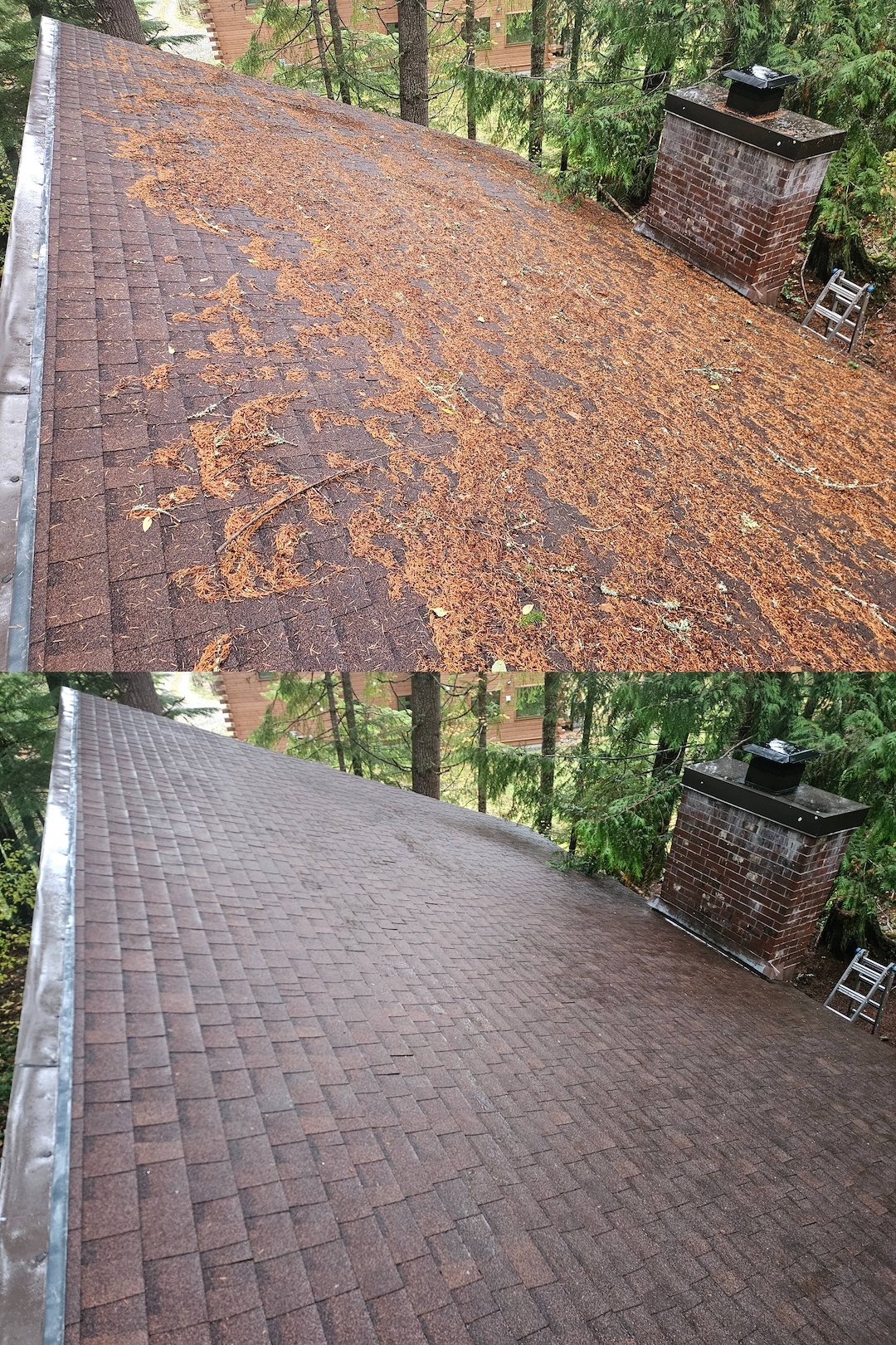 Paint Preparation for Commercial Property in Seattle, WA