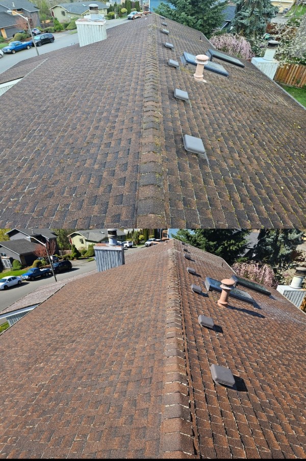 Remarkable Roof Washing in Renton, WA