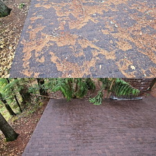 Roof-Blowoff-And-Gutter-Cleaning-in-Enumclaw-WA 1