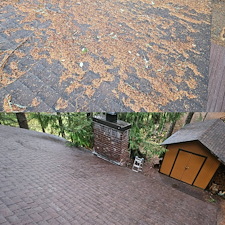 Roof-Blowoff-And-Gutter-Cleaning-in-Enumclaw-WA 2