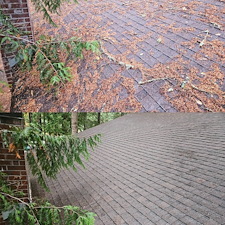 Roof-Blowoff-And-Gutter-Cleaning-in-Enumclaw-WA 3