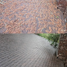 Roof-Blowoff-And-Gutter-Cleaning-in-Enumclaw-WA 4