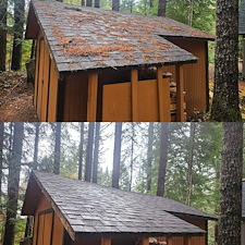 Roof-Blowoff-And-Gutter-Cleaning-in-Enumclaw-WA 6