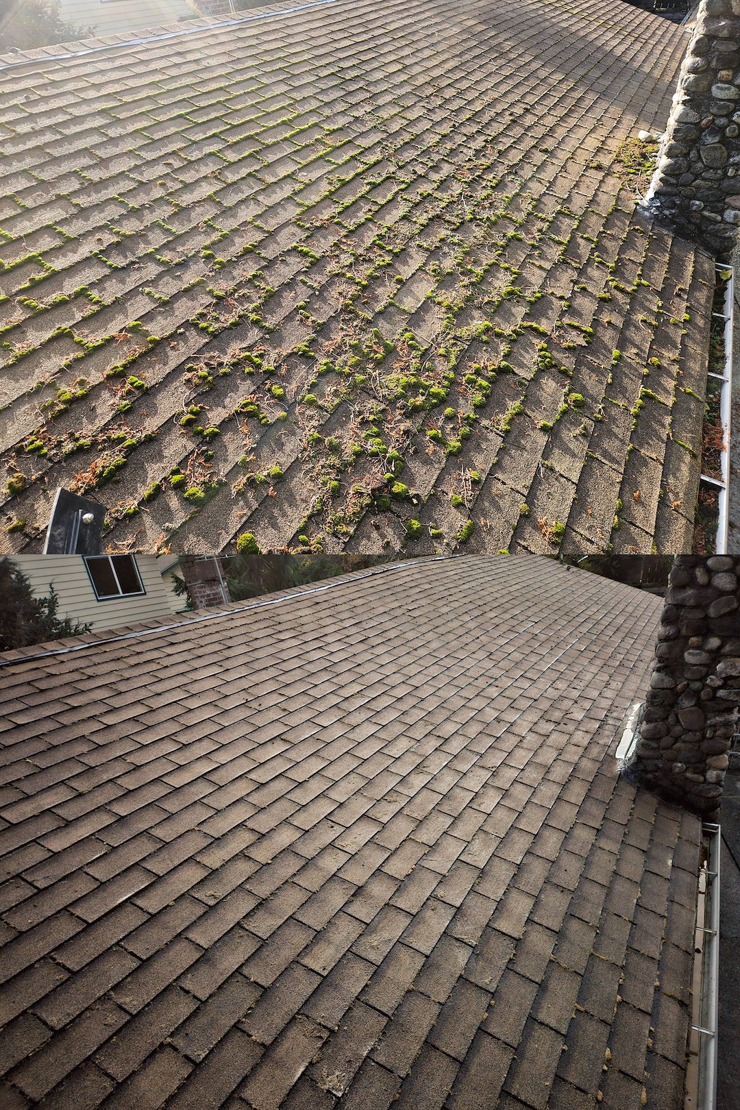 Roof Washing And Moss Removal For Home In Seattle, WA
