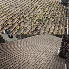 Roof Washing And Moss Removal For Home In Seattle, WA