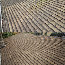 Roof-Washing-And-Moss-Removal-For-Home-In-Seattle-WA 9