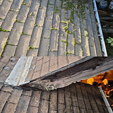 Roof-Washing-And-Moss-Removal-For-Home-In-Seattle-WA 2