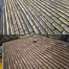 Roof-Washing-And-Moss-Removal-For-Home-In-Seattle-WA 1